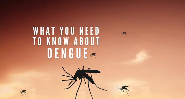 What you need to know about Dengue